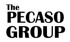 Pecaso Group Canada